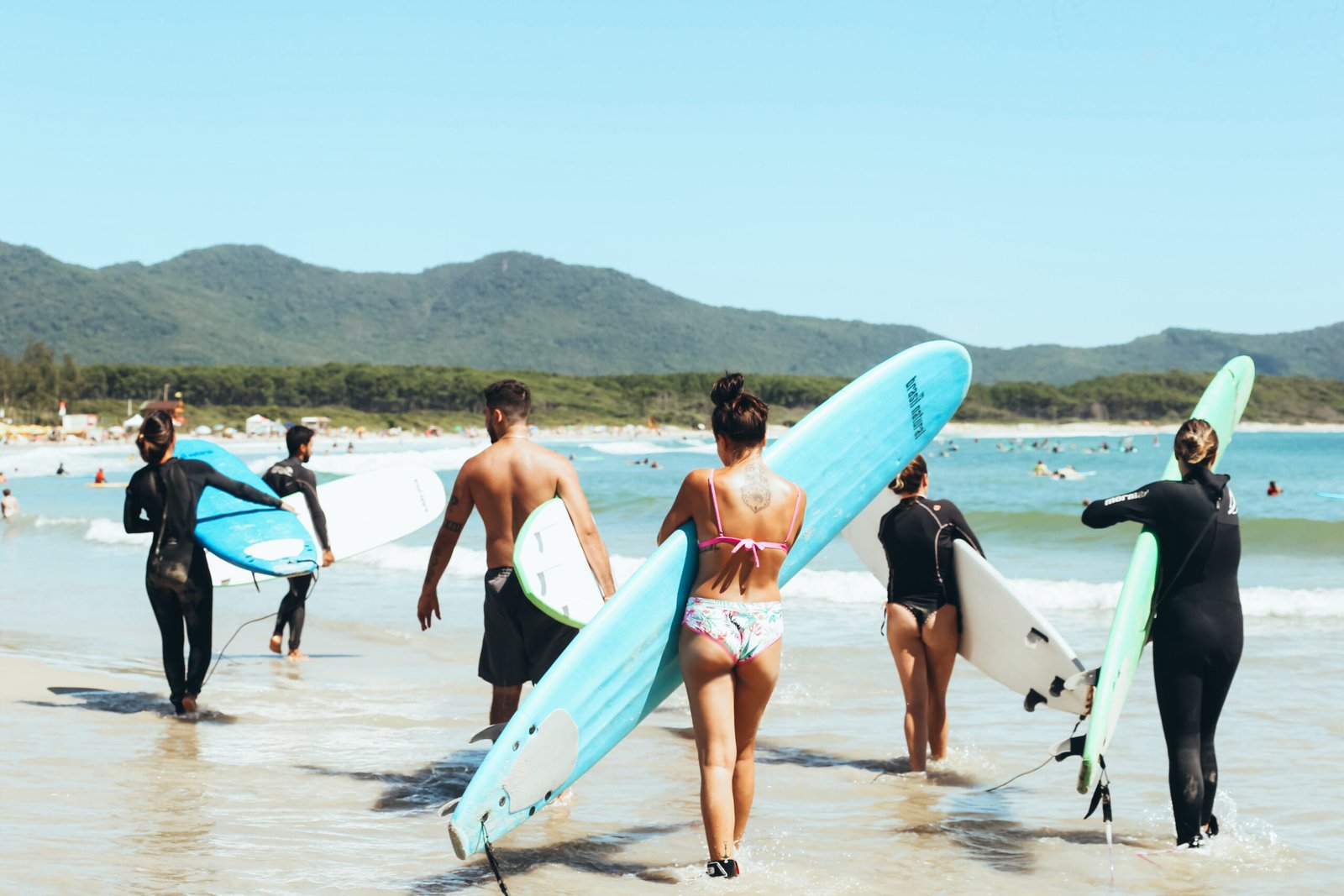 Escola de surf em Florianópolis — Sea Wolf Surf School