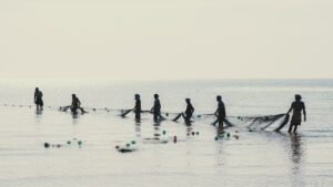 Pescadores puxando rede artesanal na praia durante a Safra da Tainha em Florianópolis