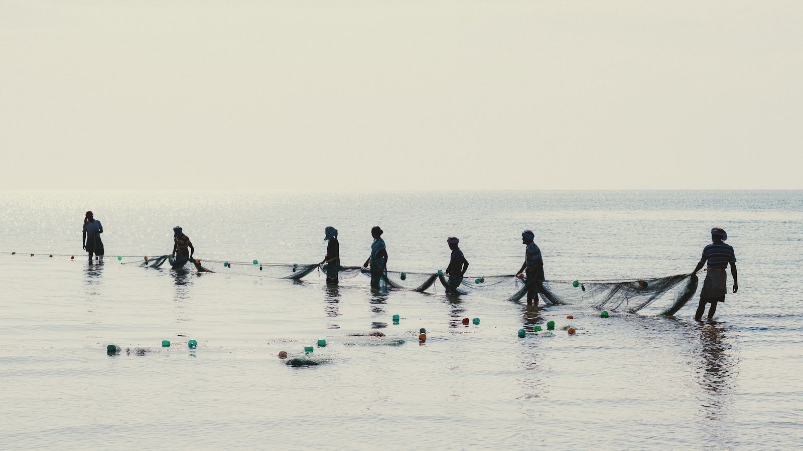 Pescadores puxando rede artesanal na praia durante a Safra da Tainha em Florianópolis