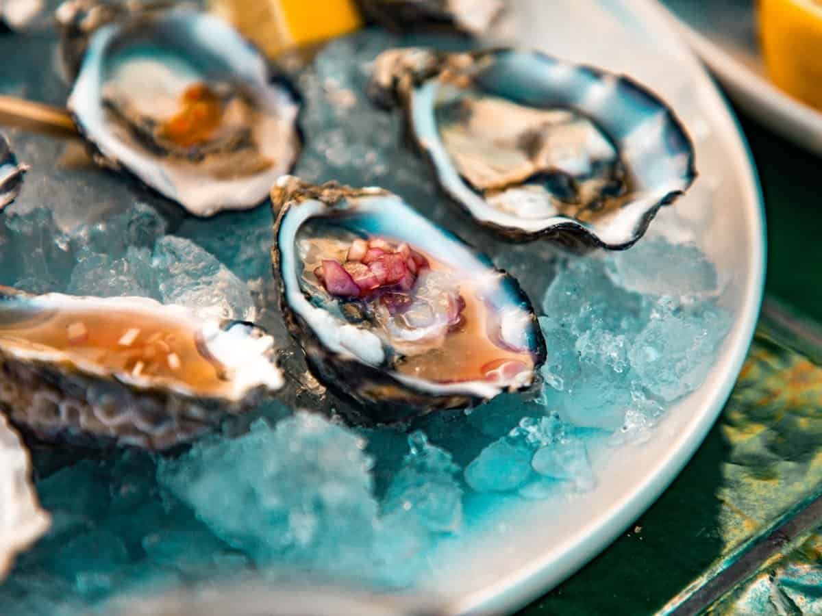 Prato de ostras frescas no gelo com fatias de limão — ostras em Florianópolis
